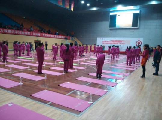 2014孕妇瑜伽课吉尼斯世界纪录挑战赛入场准备